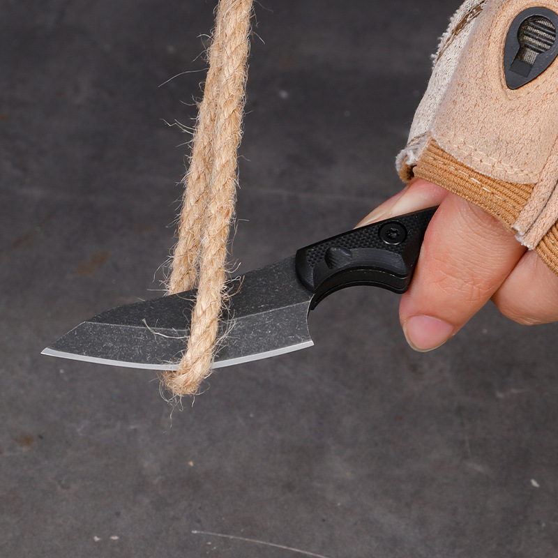 5CR15 ステンレス鋼小型固定刃ナイフ G10 ハンドル屋 - Edc Carry Fixed Blade のレビューと価格